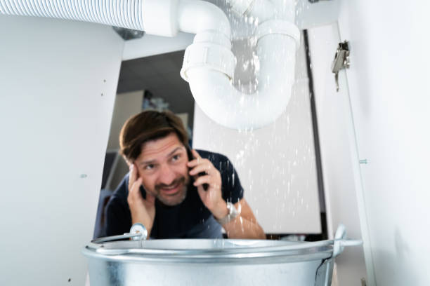Best Sprinkler Systems  in Cresaptown, MD